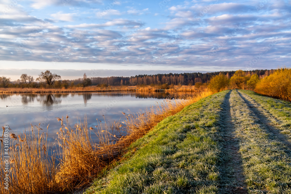 Wiosenny poranek nad stawami Dojlidzkimi, Podlasie, Polska