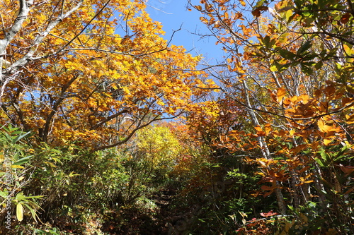 秋の福島県の磐梯山の登山