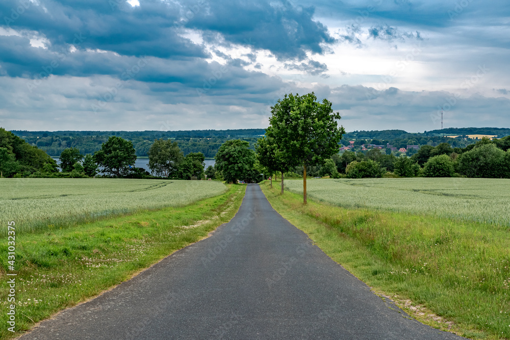 Einsame Straße mit Bäumen und dramatischem Himmel Einsame Straße mit Bäumen und dramatischem Himmel