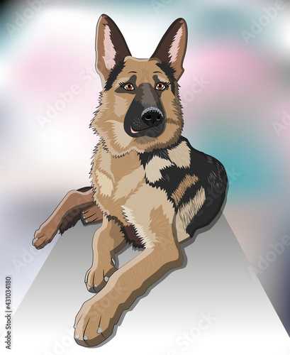 dog German shepherd breed sitting and smile