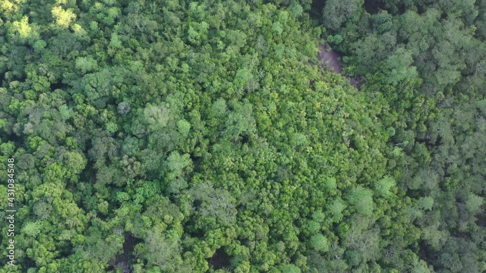 Drone field of view of green forest and beautiful landscape Mahe, Seychelles. Drone field of view of green forest and beautiful landscape Mahe, Seychelles.