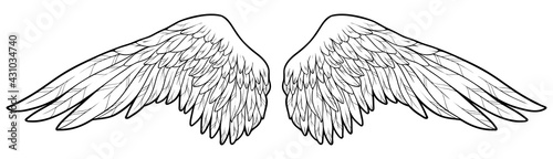 Beautiful angel wings, monochrome, vector