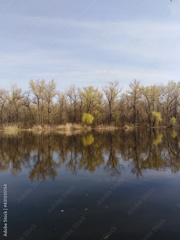 spring trees reflected in water