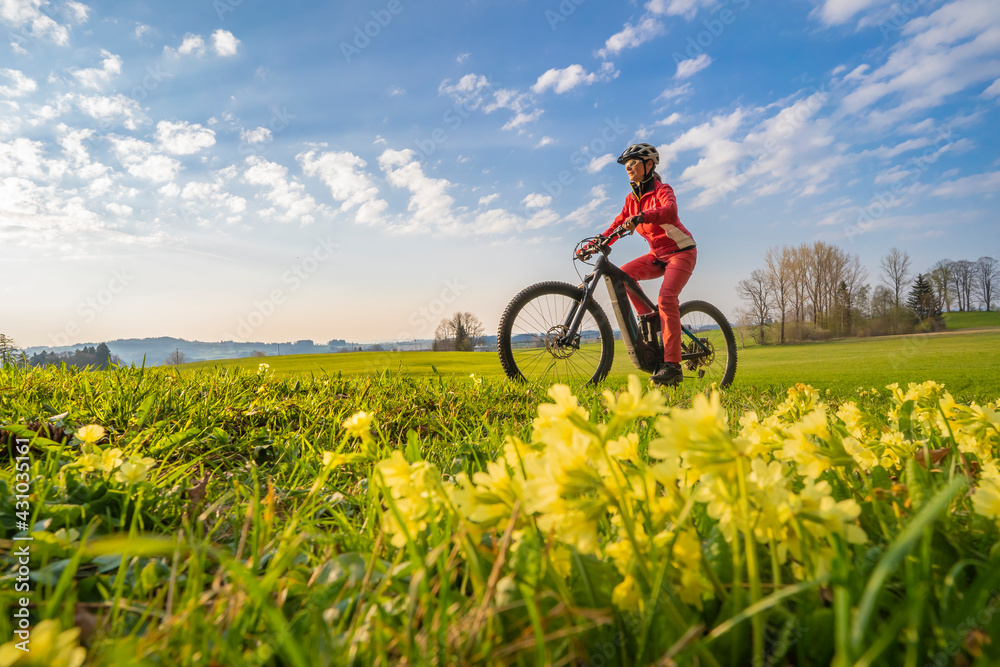 Obraz premium pretty mid age woman riding her electric mountain bike in early springtime in the Allgau mountains near Oberstaufen, in warm evening light with blooming spring flowers in the Foreground