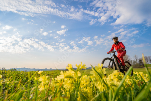 Fototapeta Naklejka Na Ścianę i Meble -  pretty mid age woman riding her electric mountain bike in early springtime in the Allgau mountains near Oberstaufen, in warm evening light with blooming spring flowers in the Foreground