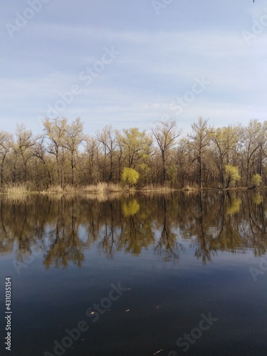 spring trees reflected in water