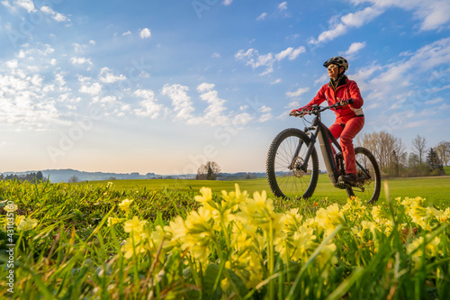 pretty mid age woman riding her electric mountain bike in early springtime in the Allgau mountains near Oberstaufen, in warm evening light with blooming spring flowers in the Foreground