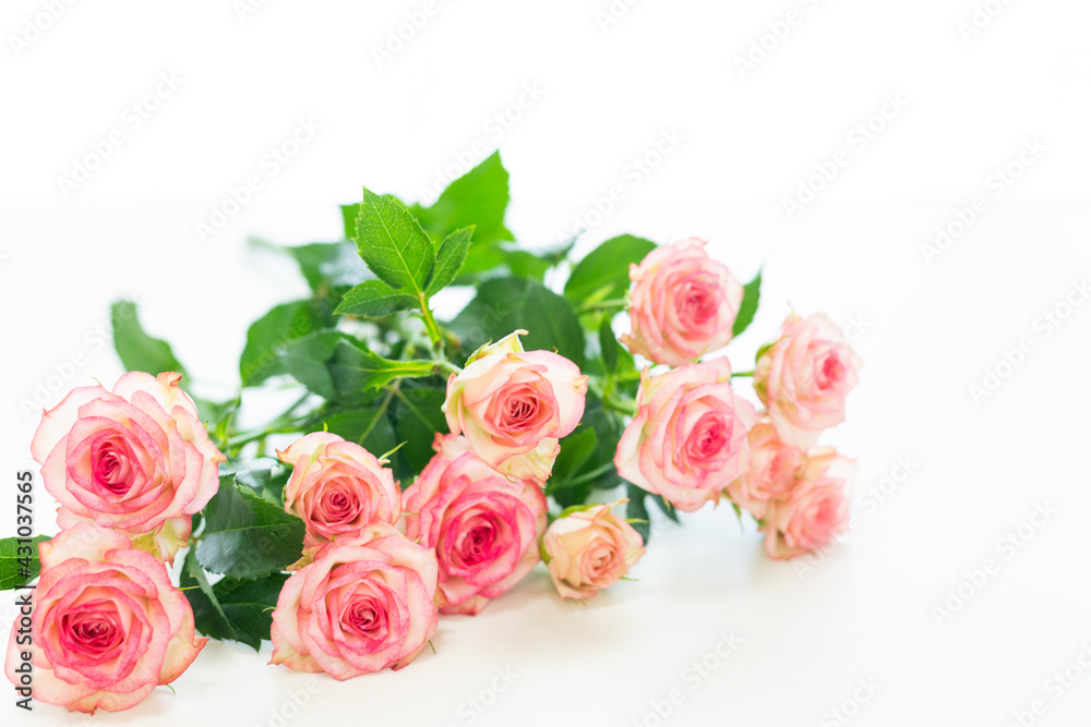 bouquet of roses bouquet of roses