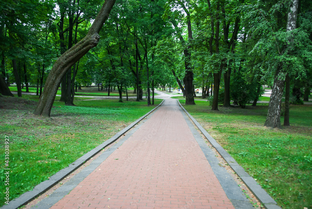 Pedestrian walkway in green summer city Stryisky park in Lviv, Ukraine