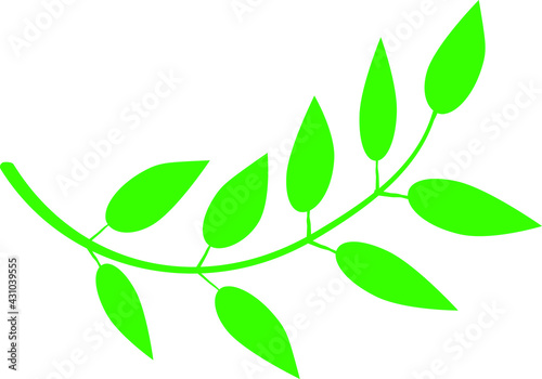 simple green branch leaf vector isolated