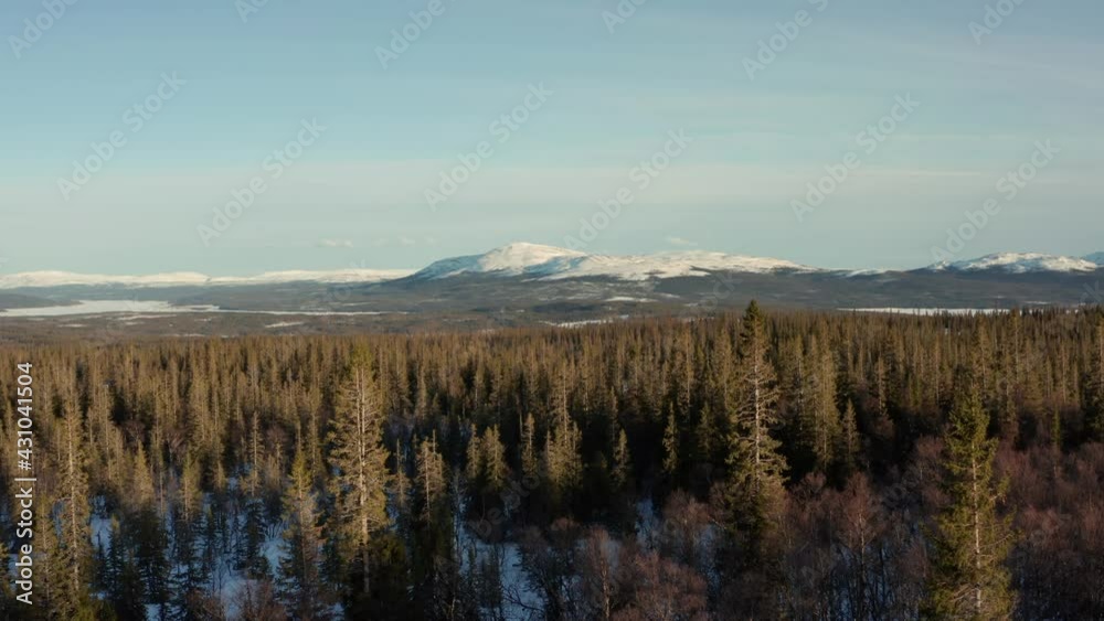 Swedish Nature. Forest and mountains snow covered end of winter beginning of Spring. Wild untouched wilderness in slow moving low angle aerial drone view over tree tops. Sunset light Swedish Nature. Forest and mountains snow covered end of winter beginning of Spring. Wild untouched wilderness in slow moving low angle aerial drone view over tree tops. Sunset light