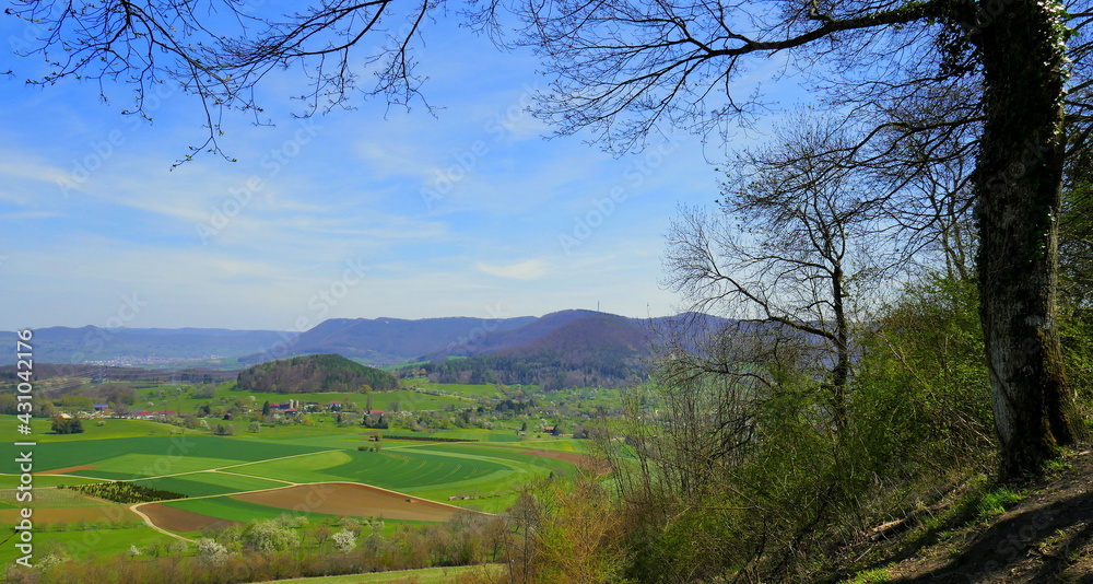 weite schöne Aussicht vom Berg Achalm auf Felder und Wald umrahmt von Baum im Frühling weite schöne Aussicht vom Berg Achalm auf Felder und Wald umrahmt von Baum im Frühling