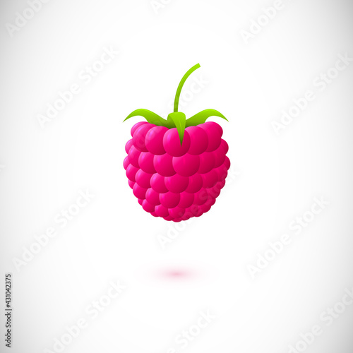 Glossy pinkraspberry illustration
