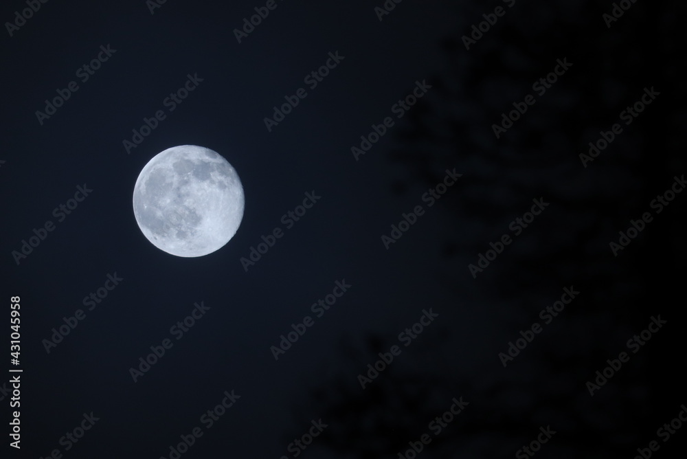Full moonlight. Taken in Swedish Lapland. Full moonlight. Taken in Swedish Lapland.