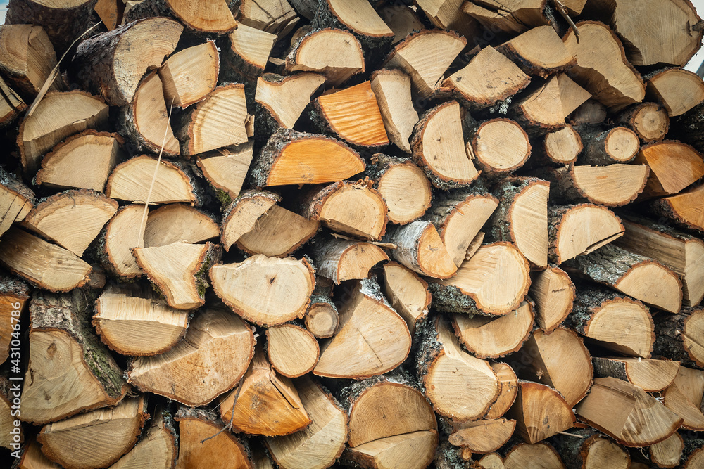 Harvesting firewood for the winter. Stacked firewood in a pile Harvesting firewood for the winter. Stacked firewood in a pile