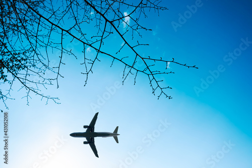 Tree branches, blue sky and a moving plane