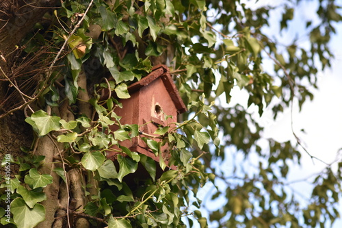 Red birdhouse on tree in Epping. © JohnJ