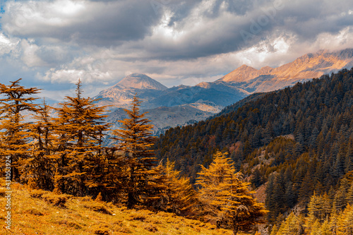 View of cedar forests and Tunç mountain in Antalya - Turkey