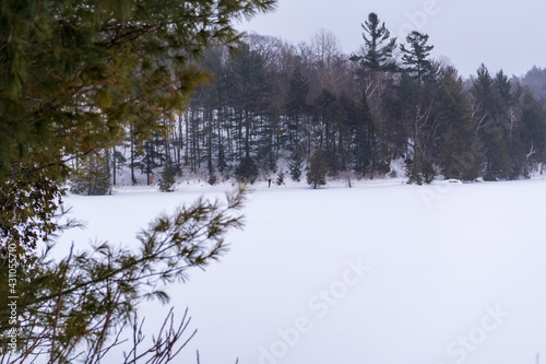 A cross country skier on the edge. of lake in Gatineau Park Quebec, Canada.