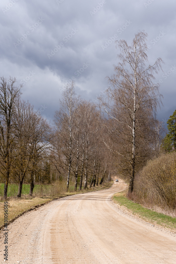 road on a sunny day that leads to a distance where there is a bend and many trees grow along the edges road on a sunny day that leads to a distance where there is a bend and many trees grow along the edges