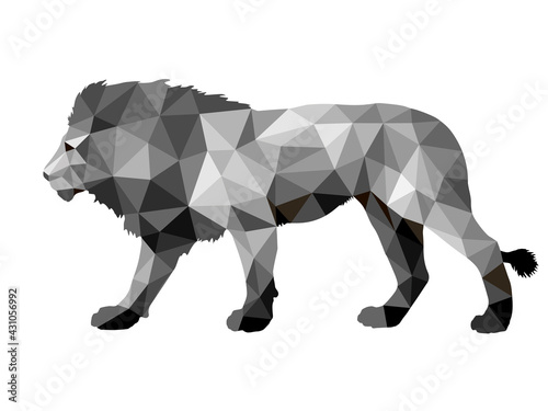 Photography lion, isolated monochrome image on a white background in the low poly style