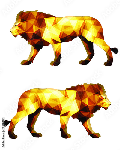 Canvas Print two lions, isolated color image on a white background in the low poly style