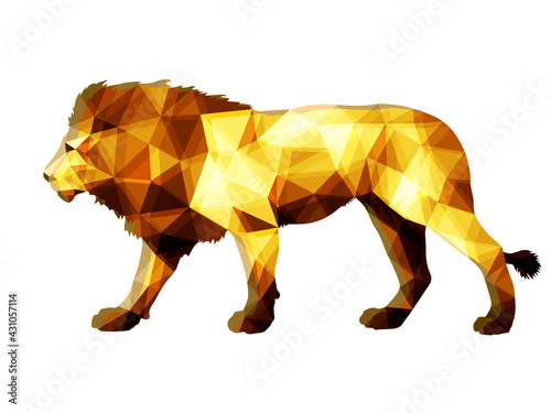 Photography lion, isolated color image on a white background in the low poly style