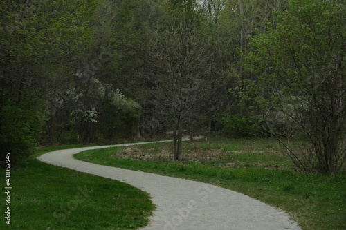 Curved path in a park with trees