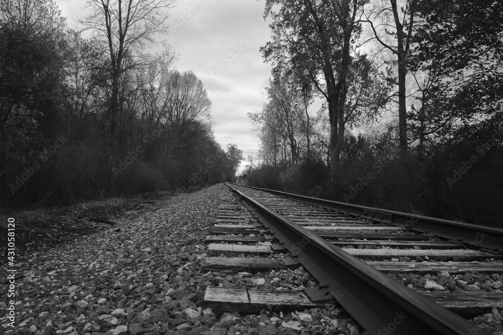 Black and white of a railroad
