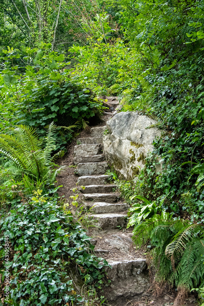 Obraz premium Stone Staircase with Green Plants