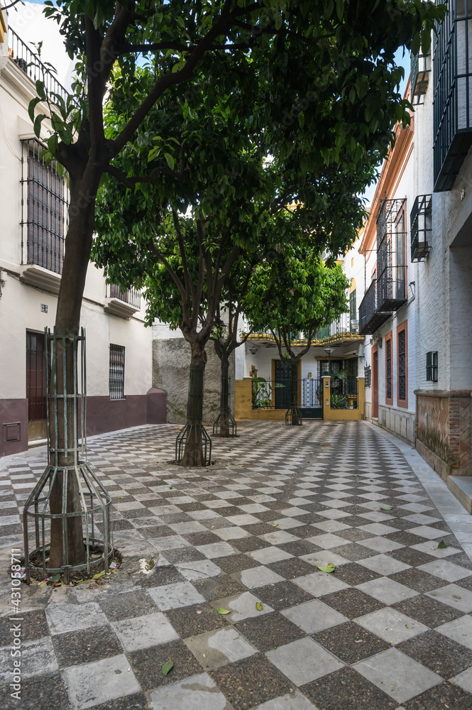 Fototapeta premium View of the street in Seville