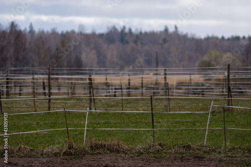 rural landscape with fences and fences for keeping animals