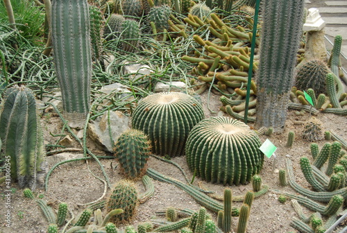 Fototapeta nature
