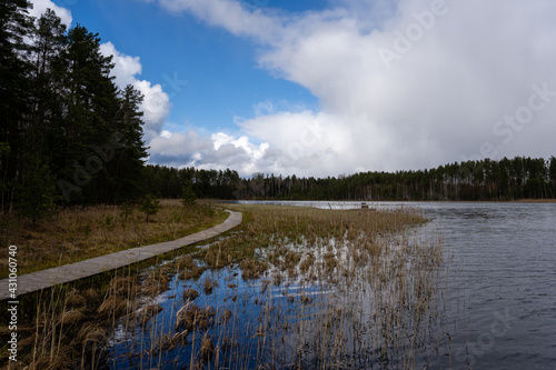 Fototapeta Naklejka Na Ścianę i Meble -  There are wooden footbridges along the lake where trees grow along the edges and there is a beautiful sky
