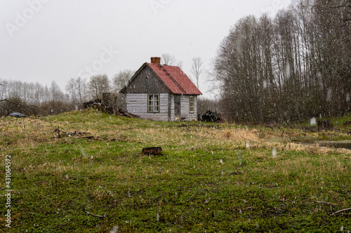 Fototapeta Naklejka Na Ścianę i Meble -  a small country hut with a red roof and a gray facade by the forest