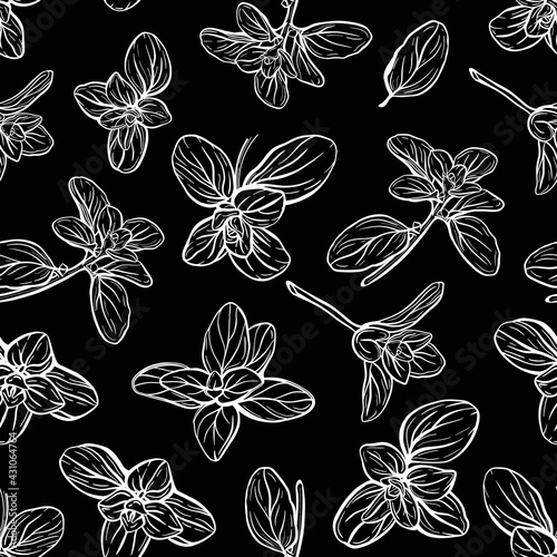  Basil Seamless Pattern. Italian herbs.A sprig of marjoram. Basil is a fragrant and fragrant seasoning. Hand-drawn illustration