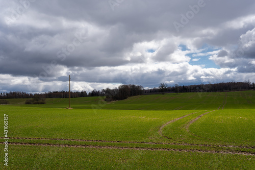 a large green field of cereals where the tractor enters its tracks