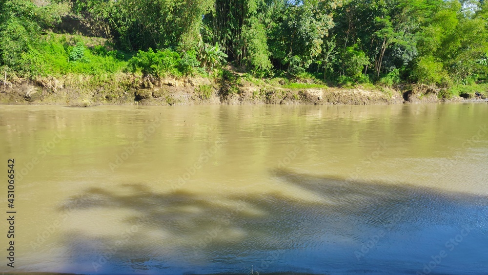 view of the water in the middle of the river