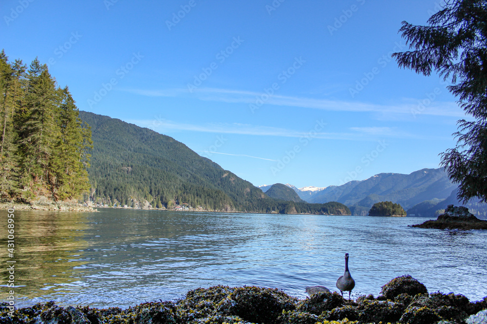 Belcarra Regional Park - British columbia Belcarra Regional Park - British columbia