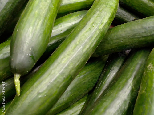cucumber background . High quality photo