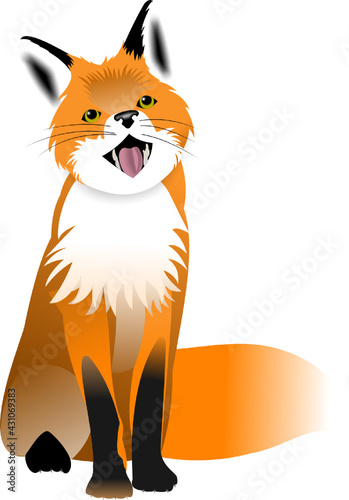 fox