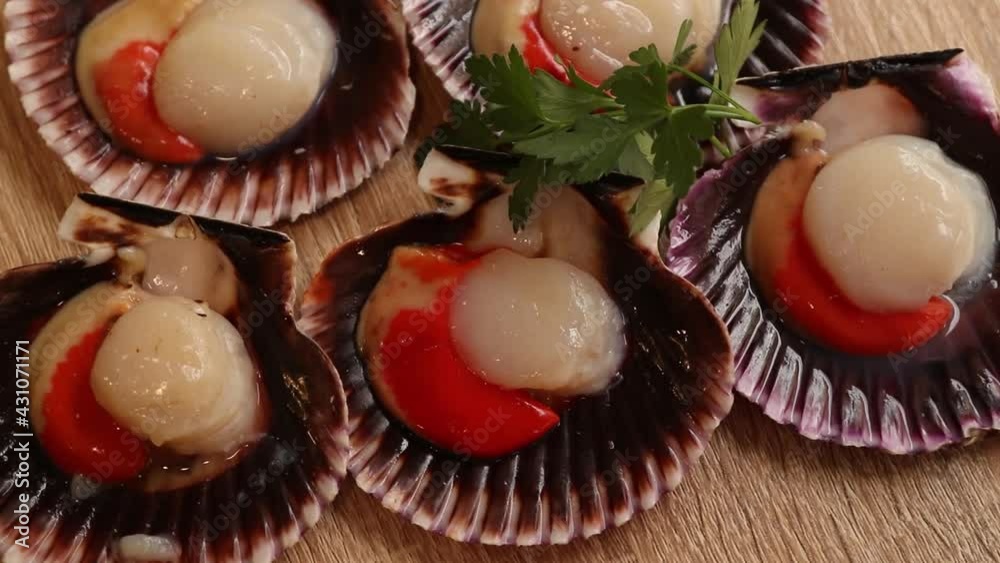 fresh scallops raw in their shell fresh scallops raw in their shell