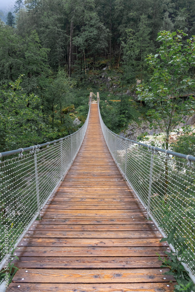 The Hangebrucke, hanging wooden bridge in the forest of Berchtesgaden National Park, Germany