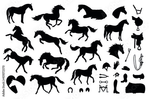 Vector set bundle of hand drawn horse and equestrian equipment silhouette isolated on white background