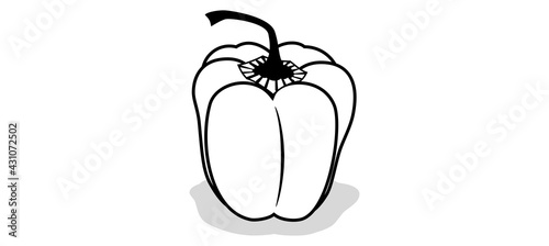 Fresh bell pepper. Vector paprika. Black and white sweet pepper.