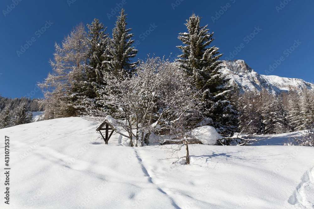 Spuren im Schnee, La Villa, Alta Badia, Dolomiten, Südtirol, Alto Adige, Italien Spuren im Schnee, La Villa, Alta Badia, Dolomiten, Südtirol, Alto Adige, Italien