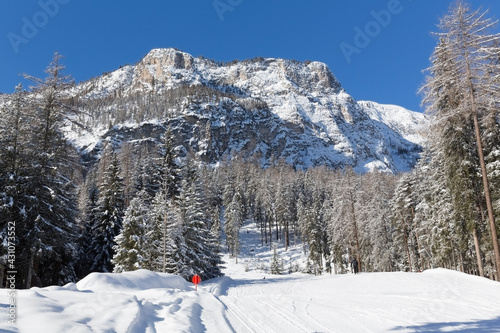 Skipiste in La Villa, Alta Badia, Dolomiten, Südtirol, Alto Adige, Italien