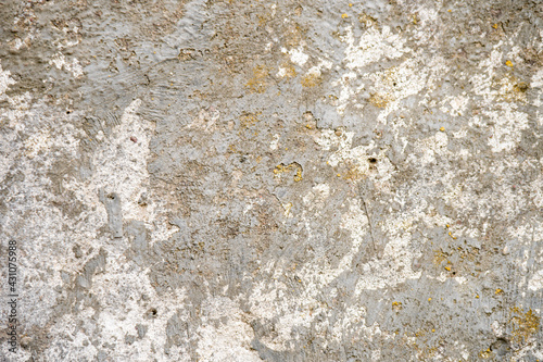 Rough stone texture. Concrete wall covered with moss, background for designer