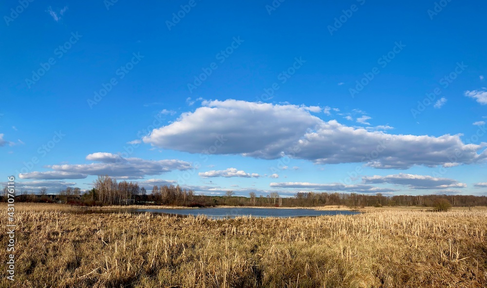 clouds over the field,pond,Poland