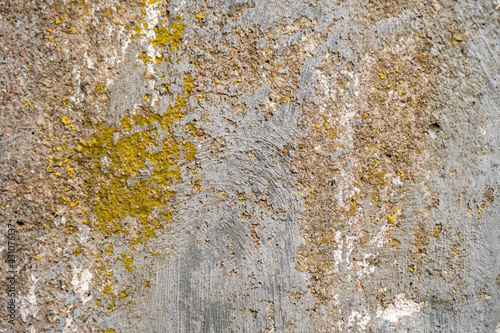 Concrete wall covered with moss, background for designer. Rough stone texture with moss.